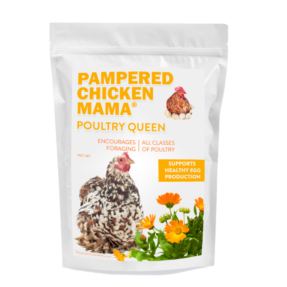 Poultry Queen Mealworm, Non-GMO Corn, Non-GMO Flax, & Herb Treat For Pet Chickens