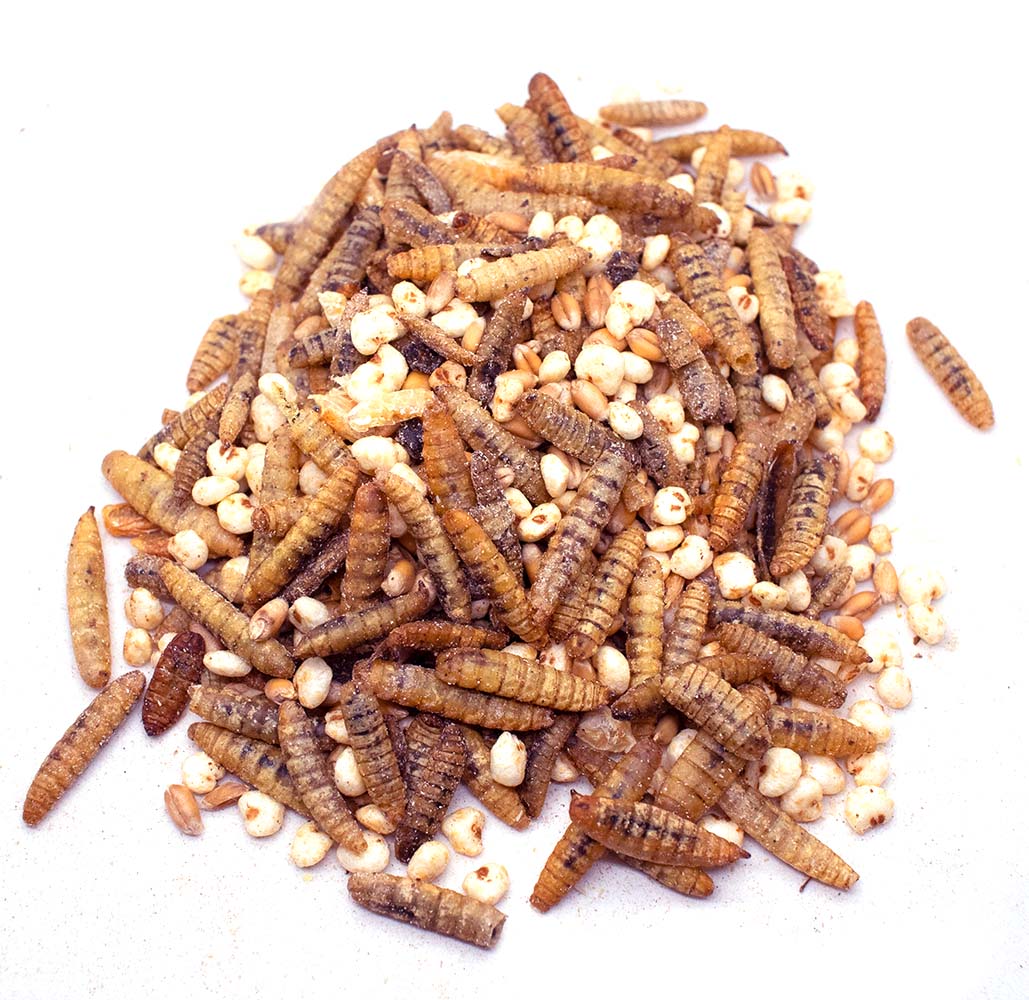 Cluckin Great Time Textured Treat To Encourage Foraging