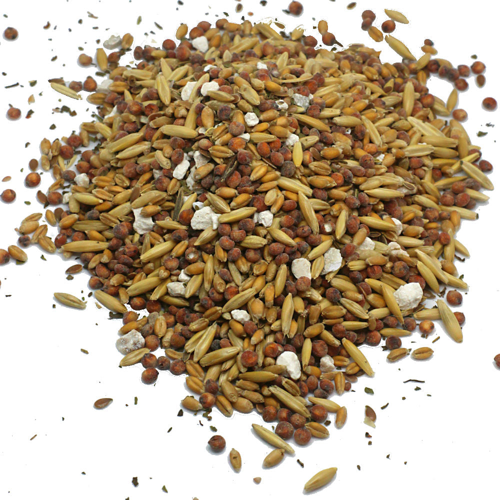 Pampered Chicken Mama non-GMO premium chicken scratch isolated on white