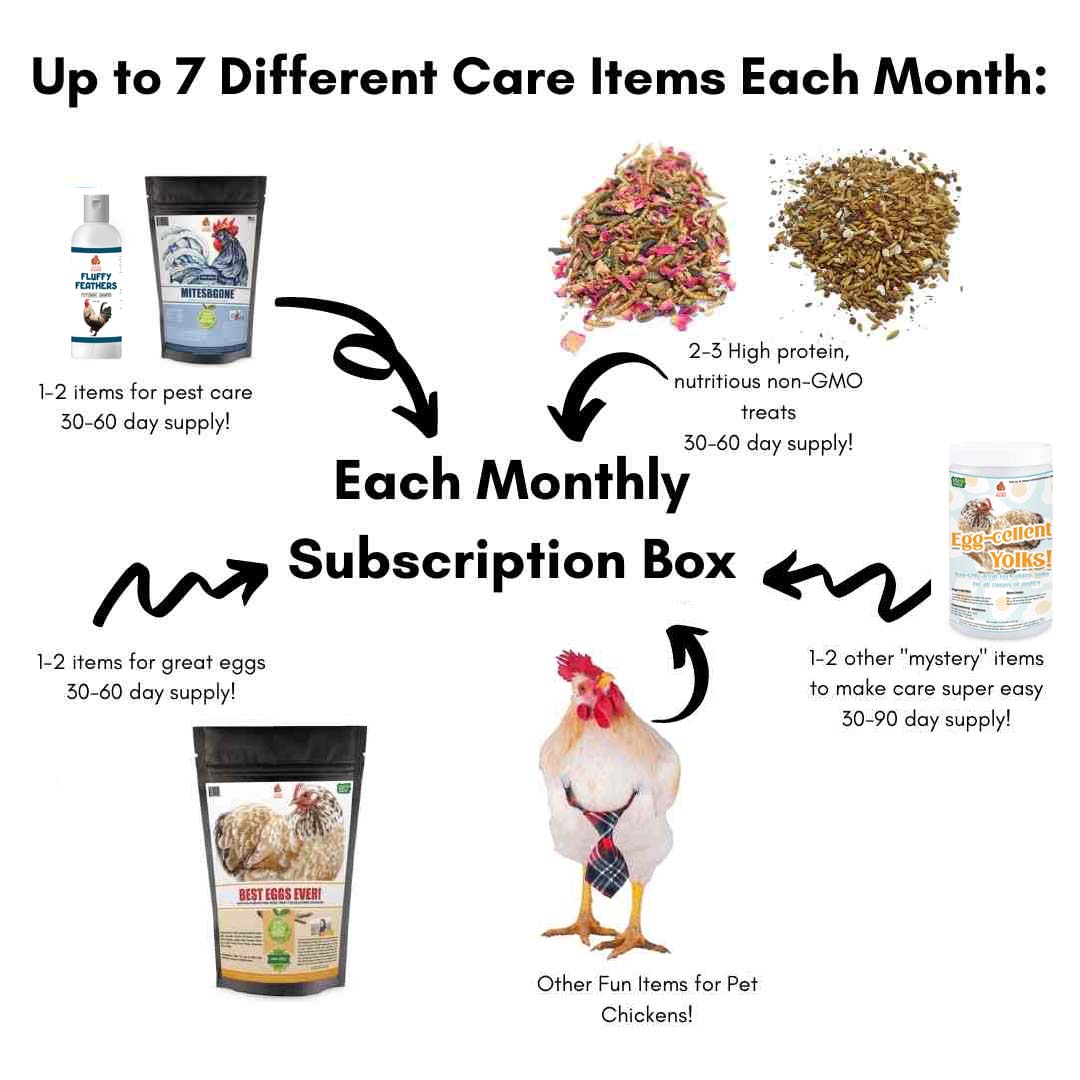 Clucks Of Joy Subscription Box: Non-GMO Treats Delivered Monthly!